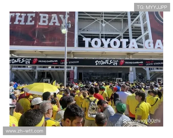 球迷冲入场内干扰比赛遭禁赛一年，俱乐部罚款处理